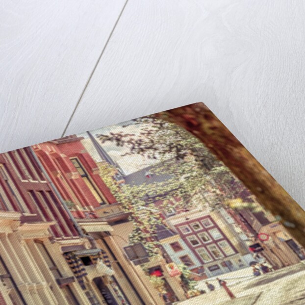 City street, Amsterdam by Assaf Frank